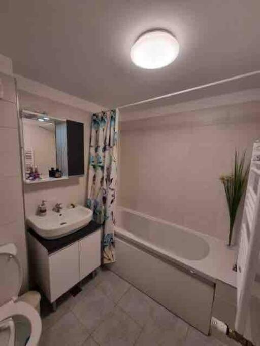 Chic Studio Pallady Apartment Bucureşti Exterior foto